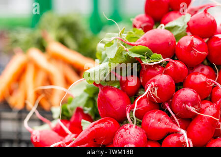 Rosso fresco ravanelli come sfondo sul marketplace contatore a Belgrado. Copia dello spazio per il tuo testo. Foto Stock