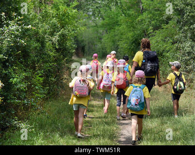 18 giugno 2019, Sassonia-Anhalt, Mücheln-Stöbnitz: i bambini del gruppo ant dell'avventura kindergarten 'Rainbow' in Mücheln-Stöbnitz camminare con loro educatore Jennifer Geheb attraverso la foresta vicino il loro piccolo riparo fortificato al Geiseltalsee torre di osservazione. Ogni giorno fino al 12 pre-scuola i bambini e i loro insegnanti per esplorare la natura e la zona densamente boscosa non lontano dal più grande lago artificiale in Germania. Il concetto pedagogico è basata su una vicinanza alla natura esperienziale e l'istruzione. Foto: Waltraud Grubitzsch/dpa-Zentralbild/ZB Foto Stock