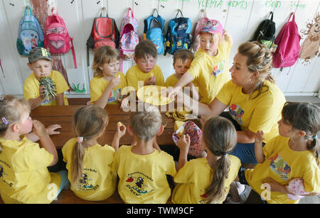 18 giugno 2019, Sassonia-Anhalt, Mücheln-Stöbnitz: i bambini del gruppo ant dell'avventura kindergarten 'Rainbow' in Mücheln-Stöbnitz mangiare ananas fresco con il loro insegnante Jennifer Geheb nel suo piccolo riparo fortificato al Geiseltalsee lookout tower per dessert. Ogni giorno fino al 12 pre-scuola i bambini e i loro insegnanti per esplorare la natura e la zona densamente boscosa non lontano dal più grande lago artificiale in Germania. Il concetto pedagogico è basata su una vicinanza alla natura esperienziale e l'istruzione. Foto: Waltraud Grubitzsch/dpa-Zentralbild/ZB Foto Stock