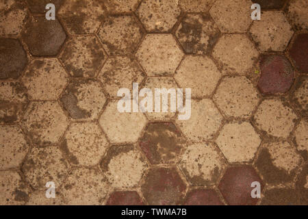 La passerella di piastrelle con gocce di pioggia Foto Stock