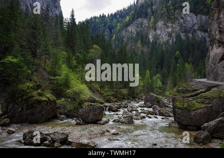 Paesaggio estivo della famosa Gole di Bicaz (Canyon) nella contea di Neamt, Romania. Foto Stock