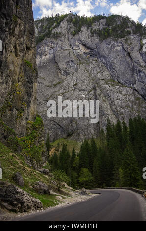 Paesaggio estivo della famosa Gole di Bicaz (Canyon) nella contea di Neamt, Romania. Foto Stock