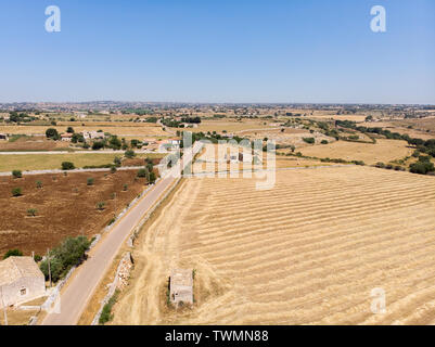 Vista aerea di alcuni campi di grano durante una bella giornata di sole nel mese di giugno in Sicilia (Italia) Foto Stock