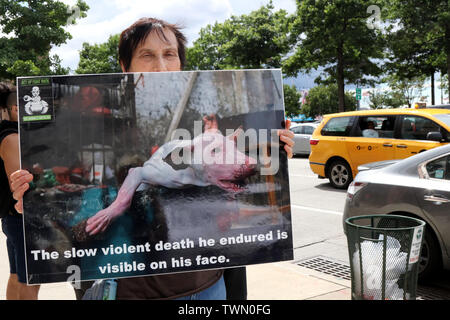 New York, NY, STATI UNITI D'AMERICA. 21st. Giugno, 2019. Attivisti per i diritti degli animali con AnimlasBattalion.org picketed l'ambasciata cinese a New York il West-lato su 21 Giugno 2019, oltre l'uccisione e il consumo di carne di cane in Cina Yulin annuale della carne di cane Festival. Questo 'festival' è dove alcuni 10.000 i cani sono macellati e servita fino ai pasti. Secondo i manifestanti molti degli animali abbattuti vengono rubati animali domestici di cui alcuni sono stati visto che indossa ancora i loro collari. © 2019 G. Ronald Lopez/Alamy Live News Foto Stock