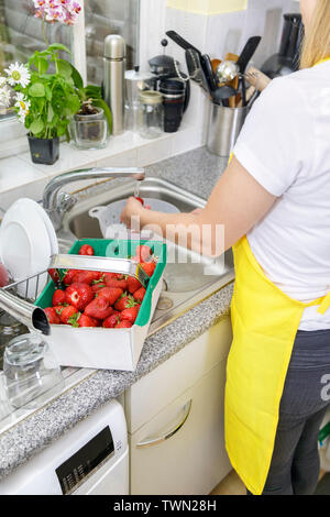 Giovane donna sciacqua le fragole in cucina. La governante in giallo grembiule di lavaggio e pulizia rosso fresco fragola per la succhieruola Foto Stock