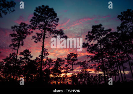 Tramonto New Smyrna Beach, Florida. Stati Uniti Foto Stock