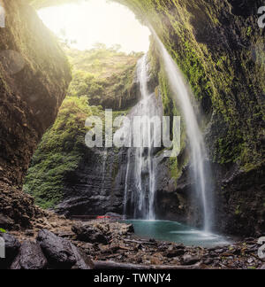 Madakaripura maestosa cascata che scorre nella foresta pluviale tropicale a East Java, Indonesia Foto Stock