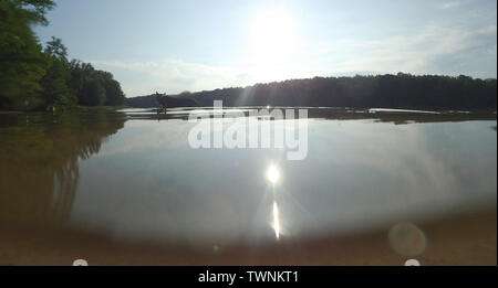 Berlino, Germania. 22 Mar, 2016. Il sole si riflette nel Grunewaldsee, mentre un cane prende un bagno. Credito: Paolo Zinken/dpa/Alamy Live News Foto Stock