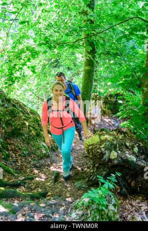 Escursione nella Foresta di shaddy vicino Dollnstein nel parco naturale di Altmühltal Foto Stock