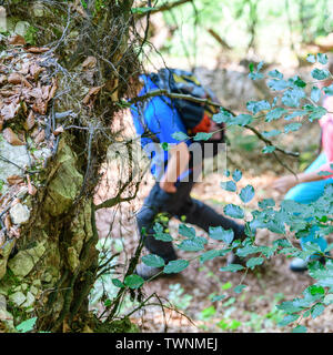 Escursione nella Foresta di shaddy vicino Dollnstein nel parco naturale di Altmühltal Foto Stock