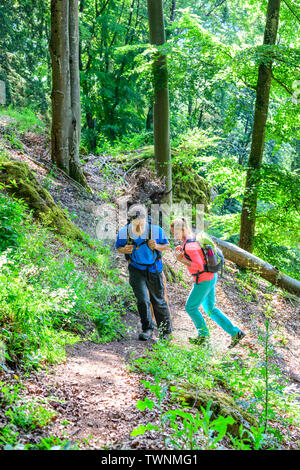 Escursione nella Foresta di shaddy vicino Dollnstein nel parco naturale di Altmühltal Foto Stock