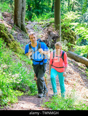 Escursione nella Foresta di shaddy vicino Dollnstein nel parco naturale di Altmühltal Foto Stock