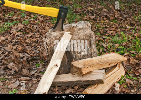 Ax con impugnatura gialla bloccato nel vecchio ceppo in autunno foglie secche sfondo Foto Stock