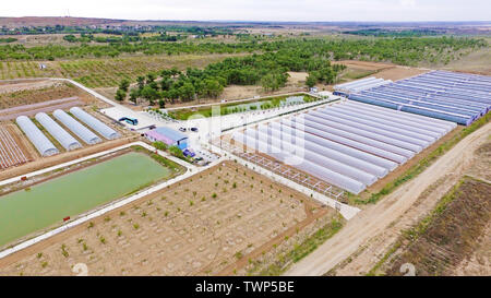 (190622) -- YINCHUAN, 22 giugno 2019 (Xinhua) -- foto aerea adottate il 27 Maggio 2019 mostra una base agricola in Qingshan township di Yanchi County, a nord-ovest della Cina di Ningxia Hui Regione autonoma. Situato sul bordo meridionale del deserto Maowusu, Yanchi contea era una volta colpito dalla povertà e ha sofferto di desertificazione. Ma dopo anni di sforzi, l'ambiente vi è stata ripristinata e la contea ha scosso anche fuori dalla povertà. (Xinhua/Wang Peng) Foto Stock