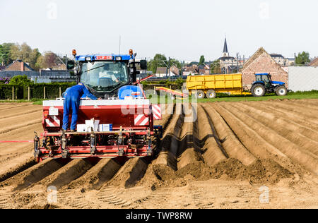 Due sono gli agricoltori di piantare un campo arato con patate, utilizzando un trattore e da un rimorchio della piantatrice, su una soleggiata mattina di primavera nella periferia di Bruxelles. Foto Stock