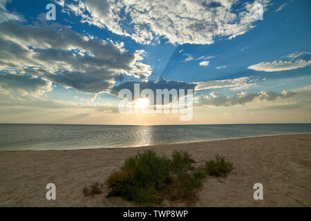 Bush sulla spiaggia sabbiosa contro il tramonto Foto Stock