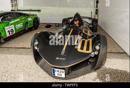 Torino Piemonte, Italia. Il 22 giugno 2019.Italia Piemonte Torino parco del Valentino Auto Show 2019 - Credit: Davvero Facile Star/Alamy Live News Foto Stock