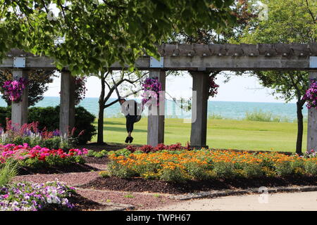 L'uomo rilassante in una imbracatura amaca e godendo di un tranquillo giardino sulla sponda del lago Michigan nel sud-est del Wisconsin. Foto Stock