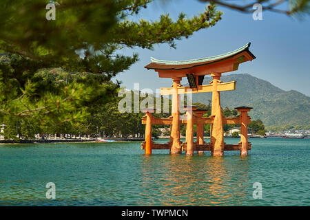 Itsukushima Torii, floating gate è incorniciato da un bosco di pini a rami di alberi. Foto Stock