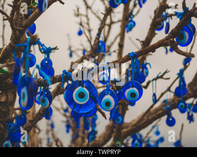 Molti tradizionali turchi amuleti - Nazar boncuk o occhio di Fatima appendere sui rami di un albero di auguri Foto Stock