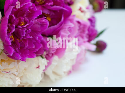 Splendidi fiori, le peonie su sfondo bianco. Bouquet elegante di un sacco di peonie di colore rosa vicino. Foto Stock
