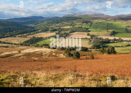 Terreni agricoli tra Strathpeffer e Dingwall con Ben Wyvis dietro - Ross-shire, Scozia. Foto Stock