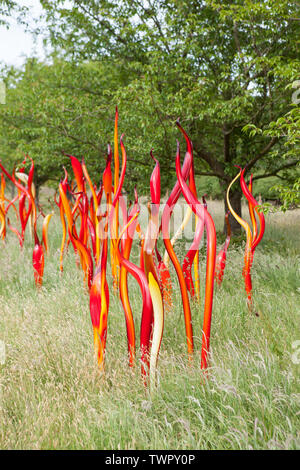 Cattails in rame e lamelle di betulla, il titolo di sculture in vetro dai contemporanei USA artista Dale Chihuly presentando i Giardini di Kew, Richmond. Londra, Regno Unito. Foto Stock