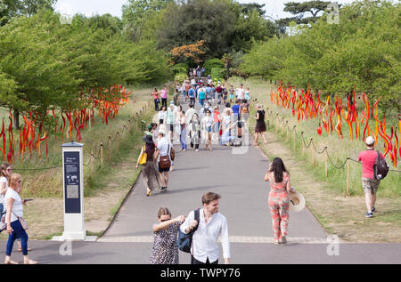 Cattails in rame e lamelle di betulla, il titolo di sculture in vetro dai contemporanei USA artista Dale Chihuly presentando i Giardini di Kew, Richmond. Londra, Regno Unito. Foto Stock