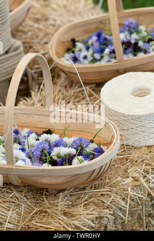 Giardino trugs piena di raccolti cornflowers a Daylesford fattoria organica summer festival. Daylesford, Cotswolds, Gloucestershire, Inghilterra Foto Stock