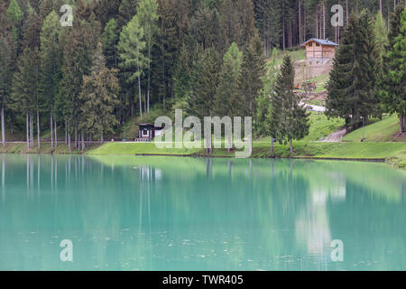 Forest in riva al lago - Santa Caterina, Lago di Auronzo di Cadore, Veneto, Italia Foto Stock