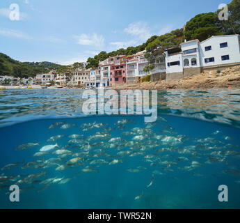 Litorale Mediterraneo villaggio sulla Costa Brava in Spagna con una scuola di pesce subacquea, sa di tonno, Begur, Catalonia, split vista sopra e sotto l'acqua Foto Stock