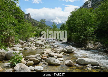 In Francia il paesaggio Cady fiume ai piedi del massiccio del Canigou nei Pirenei orientali, Villefranche de Conflent Foto Stock