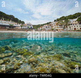 Spagna beach shore in un villaggio Mediterraneo sulla Costa Brava con i pesci e le rocce sottomarine, sa di tonno, Begur, Catalonia, vista suddivisa a metà al di sopra e al di sotto di Foto Stock