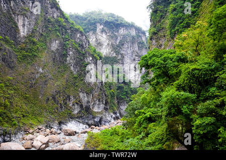 Incredibile natura cinese nel Parco Nazionale di Taroko, Taiwan. Taroko Gorge è un popolare taiwanese posto turistico. Rocce scoscese lungo il fiume circondato da foresta tropicale. Verde Tropical alberi. Foto Stock