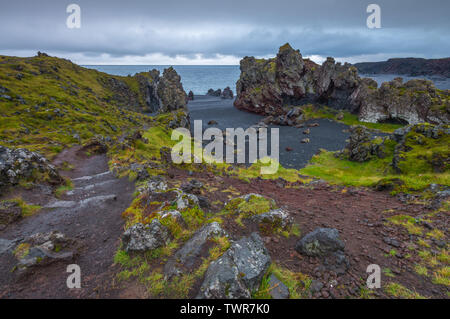 Bella Djupalonssandur Beach Cove, con scura roccia vulcanica scogliere e l'erba verde. Giorno di pioggia lungo la costa vulcanica dell'Islanda Snaefell. Foto Stock