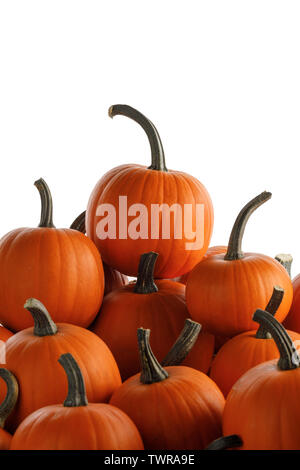 Cumulo di molte varietà di zucche arancione isolati su sfondo bianco , il concetto di Halloween Foto Stock