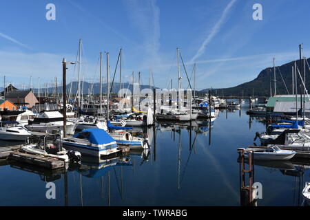 Barche ormeggiate nelle calme acque della baia di Cowichan, BC, Canada Foto Stock