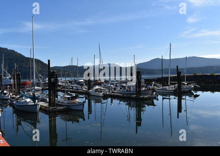 Barche ormeggiate nelle calme acque della baia di Cowichan, BC, Canada Foto Stock