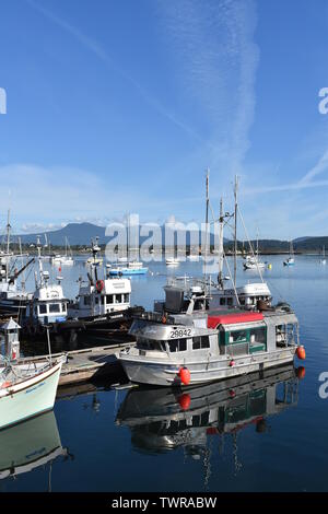 Barche ormeggiate nelle calme acque della baia di Cowichan, BC, Canada Foto Stock