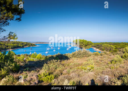 Croazia, Istria, veduta aerea del promontorio di Kamenjak Foto Stock