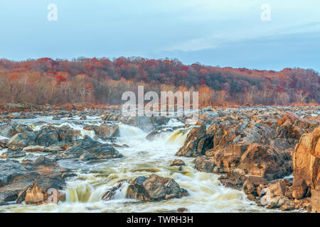 Vista di grandi cascate del fiume Potomac da Olmsted isola in autunno. Maryland. Stati Uniti d'America Foto Stock