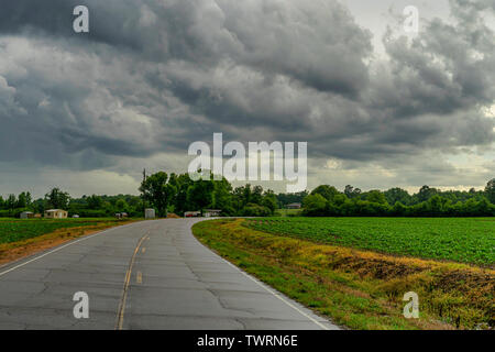 Nuvole di tempesta si spostano su un campo di cotone in Vernon, Alabama. Foto Stock