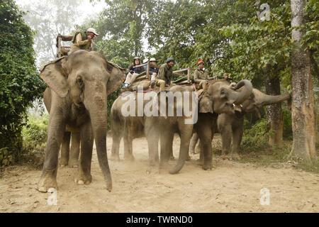 I turisti in cima elefanti asiatici, pronti per il safari in Chitwan il parco nazionale, il Nepal Foto Stock