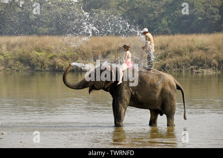 Turista femminile e mahout su elefante asiatico la spruzzatura di acqua nel fiume Rapti, Chitwan il parco nazionale, il Nepal Foto Stock