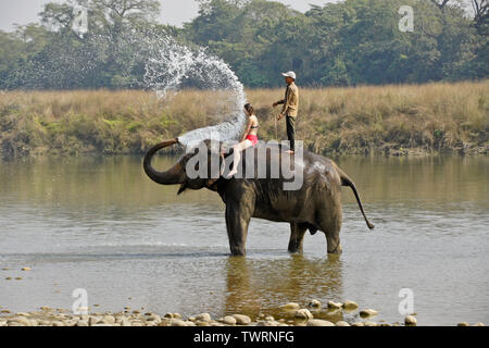 Turista femminile e mahout su elefante asiatico la spruzzatura di acqua nel fiume Rapti, Chitwan il parco nazionale, il Nepal Foto Stock