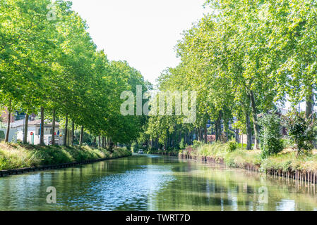 Toulouse, Francia - Giugno.30.2018:estate guarda sul Canal du Midi canal a Tolosa, Franco meridionale Foto Stock