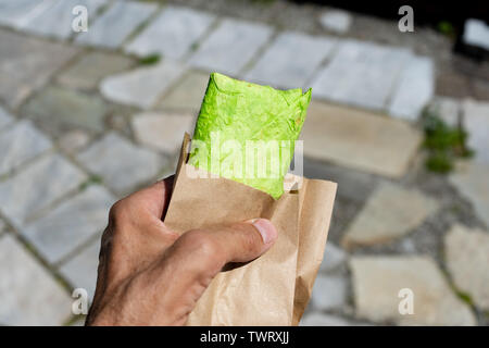 Green pane pita, shaurma, shaverma, Kebab Döner, shawarma in mano maschio closeup Foto Stock