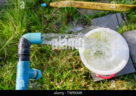 Agricoltura tubo blu con le acque sotterranee che sgorga nella benna alla piantagione Foto Stock