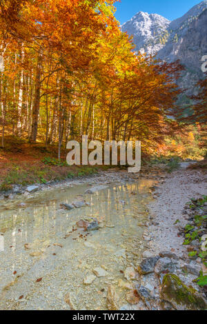 Alpi slovene incorniciato dai colori d'autunno foresta di alberi, riflessa nell'acqua. I colori dell'autunno, fogliame di autunno in Slovenia. Tranquilla passeggiata nella foresta. Foto Stock