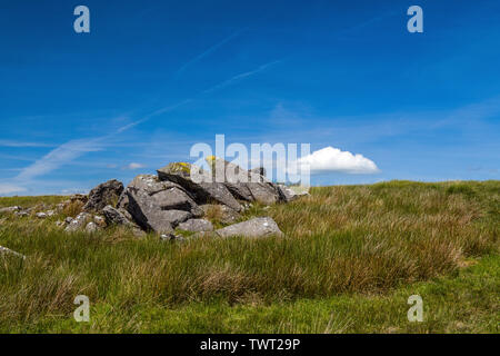 Affioramenti rocciosi di pietra blu su Carn Menyn nelle colline di Preseli nel nord Pembrokeshire in una giornata luminosa e soleggiata. Foto Stock